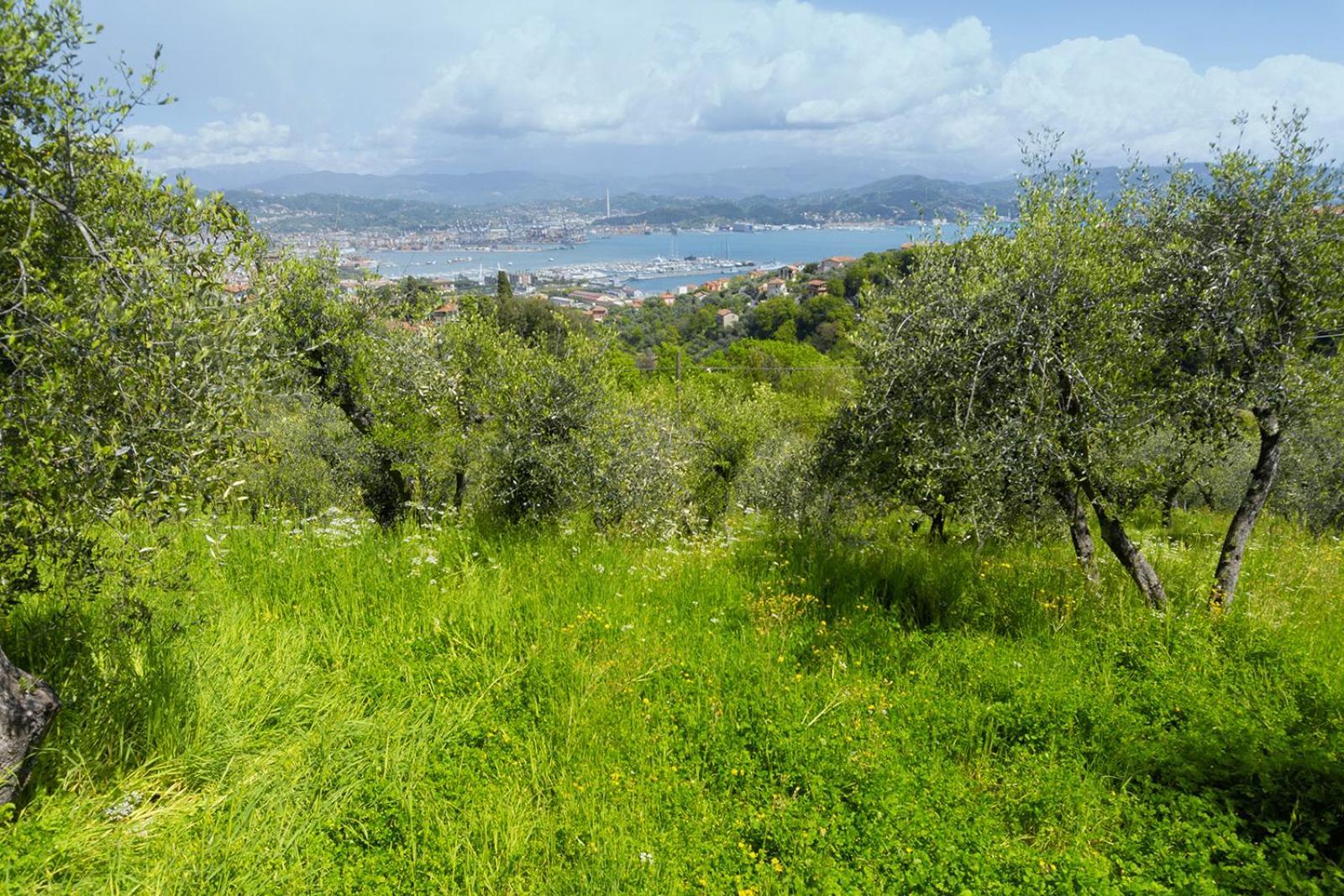 Apartamento Gli Ulivi Sul Golfo E Le 5 Terre La Spezia Exterior foto