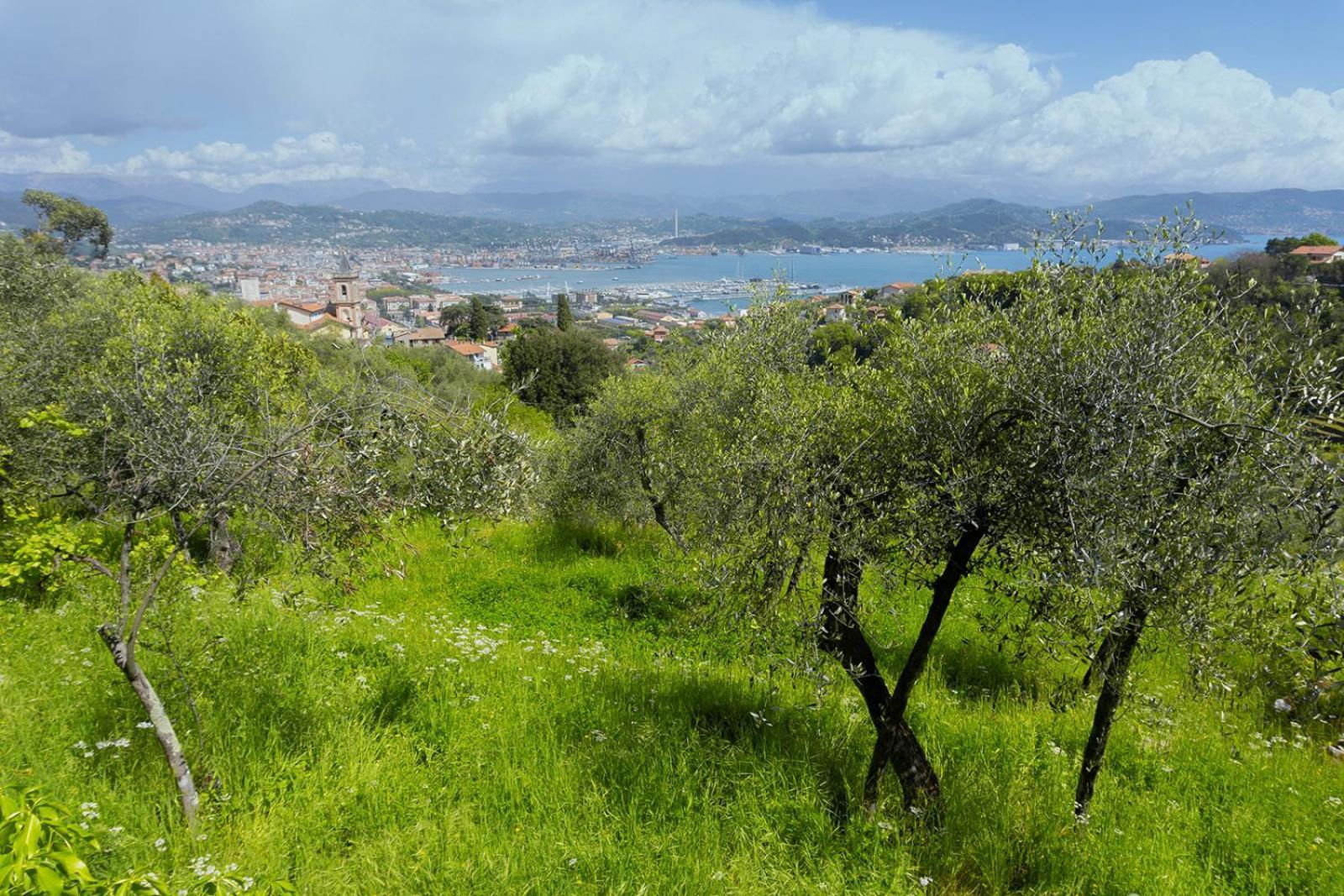 Apartamento Gli Ulivi Sul Golfo E Le 5 Terre La Spezia Exterior foto