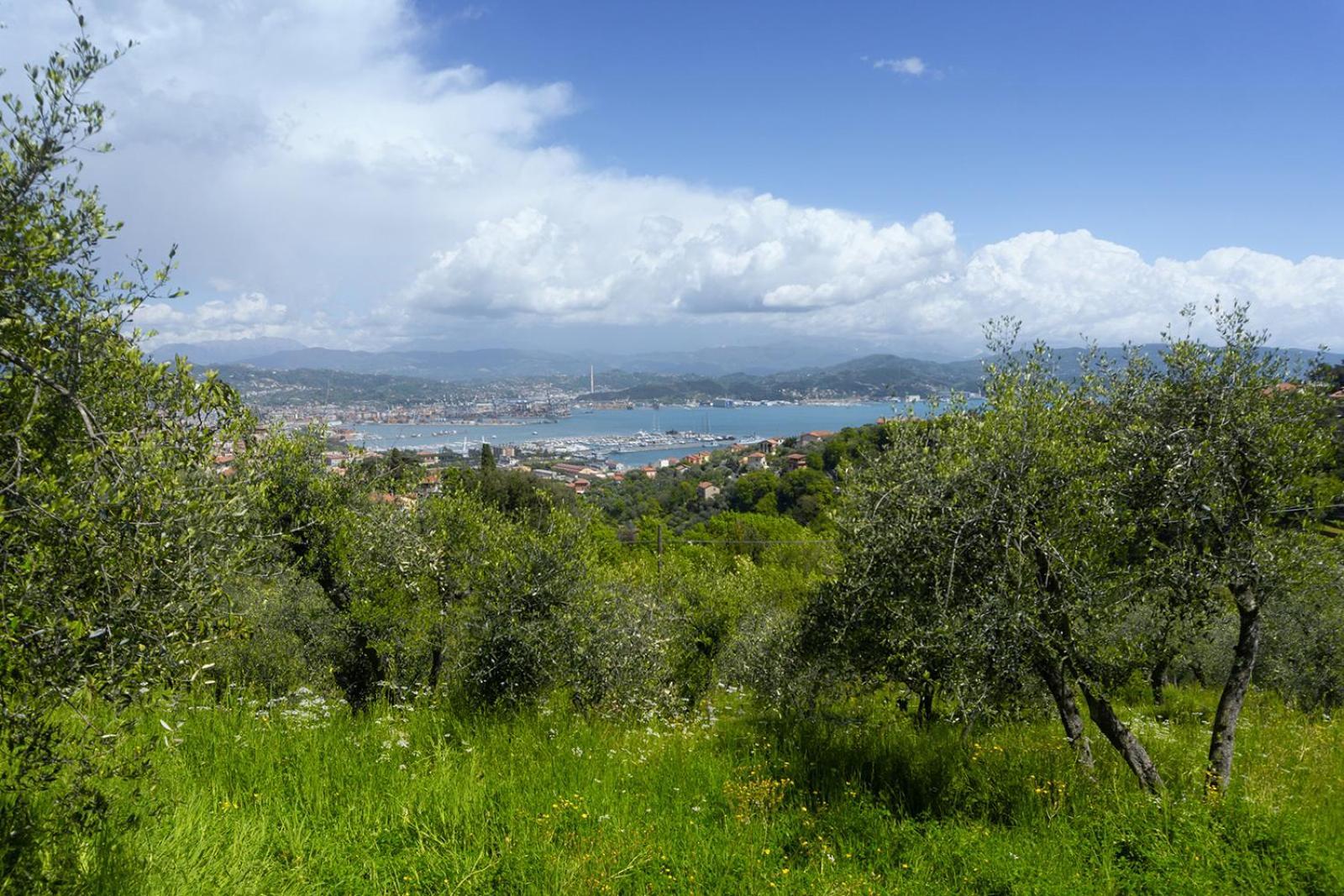 Apartamento Gli Ulivi Sul Golfo E Le 5 Terre La Spezia Exterior foto
