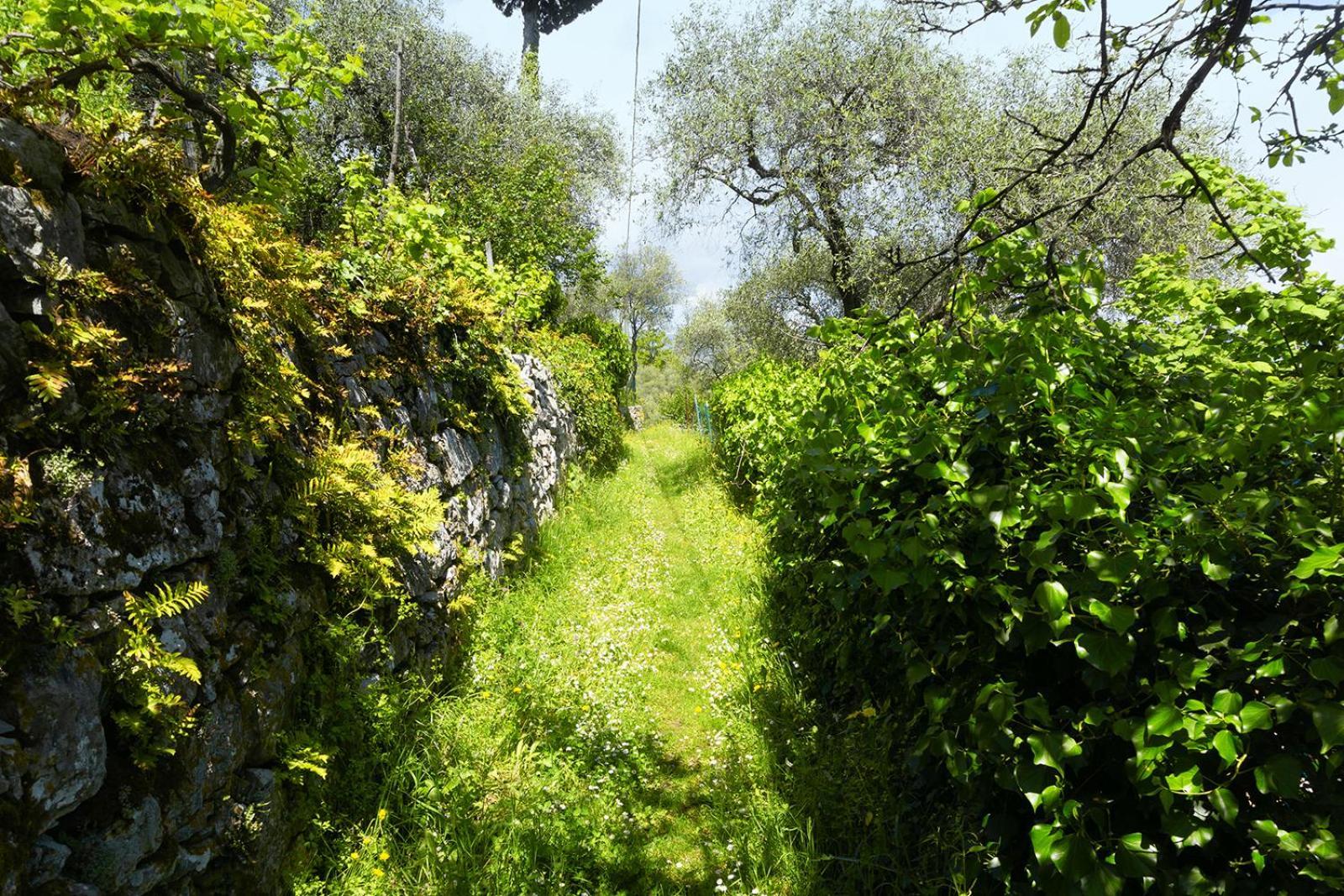 Apartamento Gli Ulivi Sul Golfo E Le 5 Terre La Spezia Exterior foto