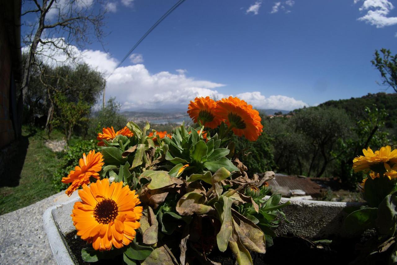 Apartamento Gli Ulivi Sul Golfo E Le 5 Terre La Spezia Exterior foto